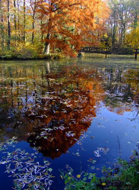 f: alcsuti-arboretum.hu