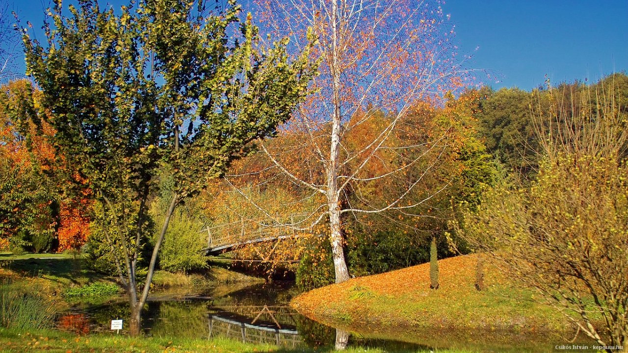arboretum-erdotelek