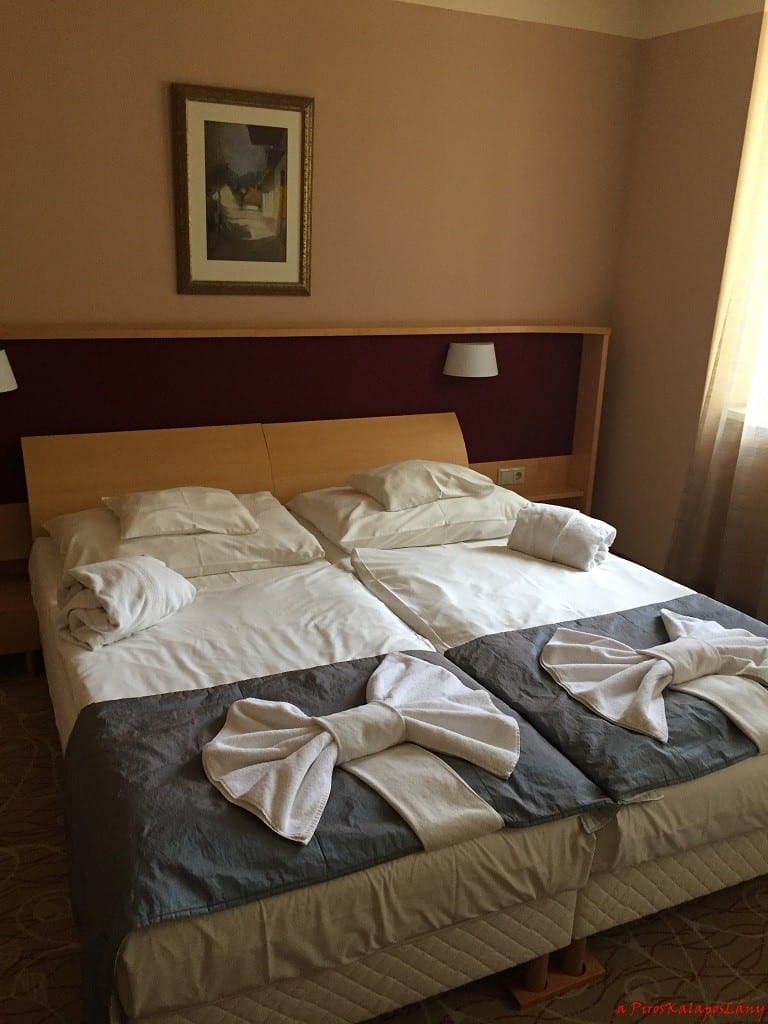 drava-hotel-16