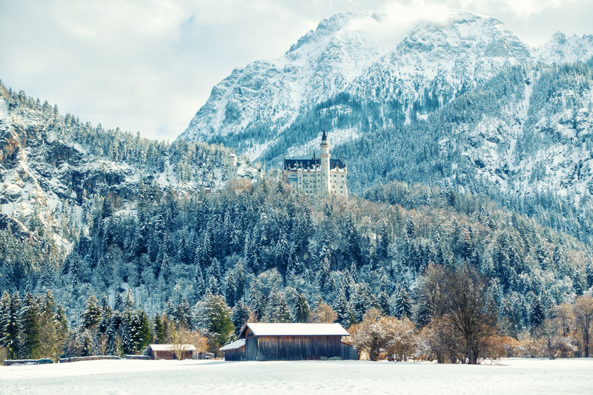 beautiful view on neuschwanstein castle in snowy forest