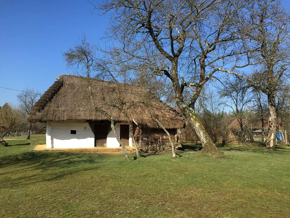 Szalafő