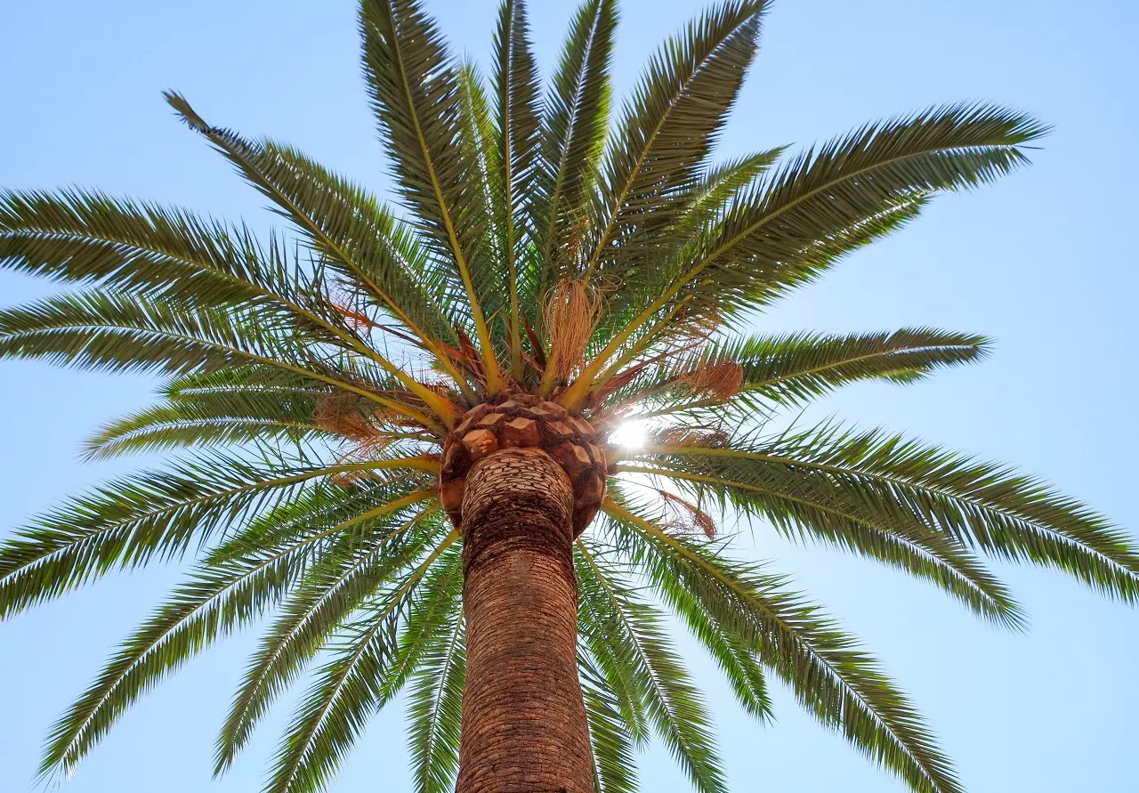 andaluzia