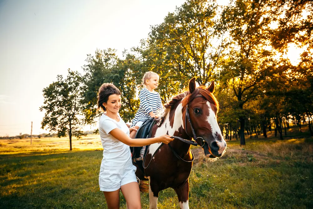 Családbarát lovardák Budapest közelében - Halápi Ranch