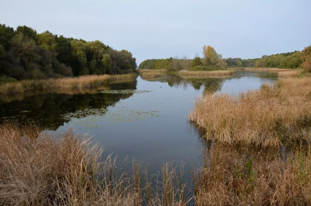 Kis-Balaton