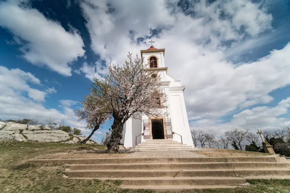 mandulavirágzás Pécs