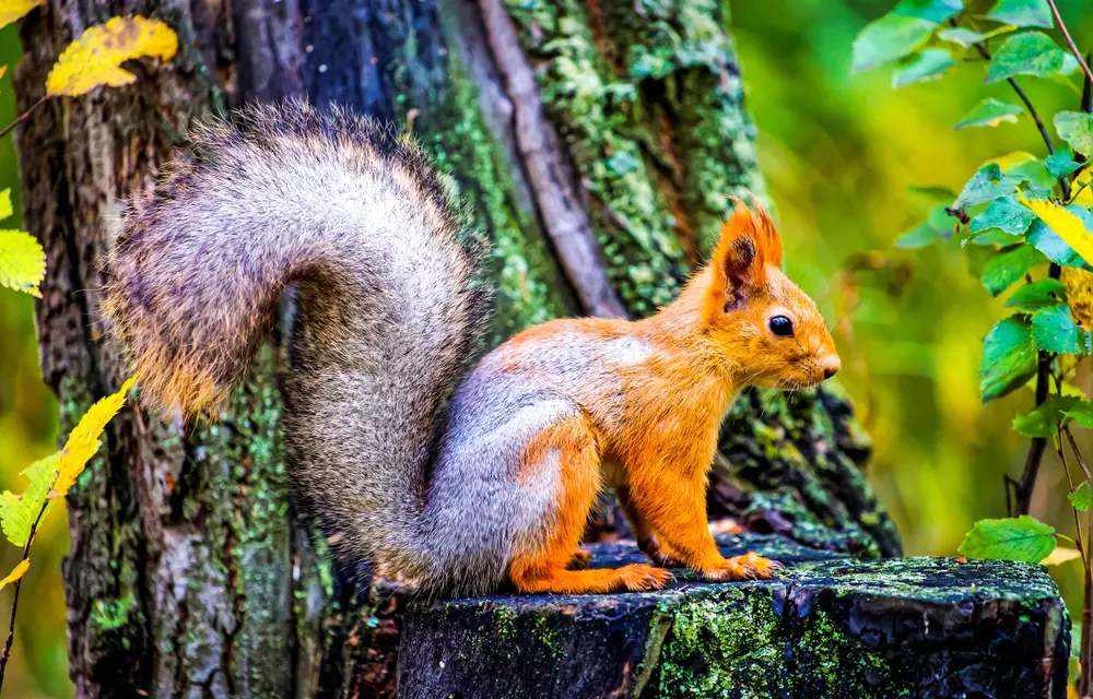 Kirándulnék, de nincs kivel – 3 egyesület, akikkel szervezett kirándulásokra indulhatsz