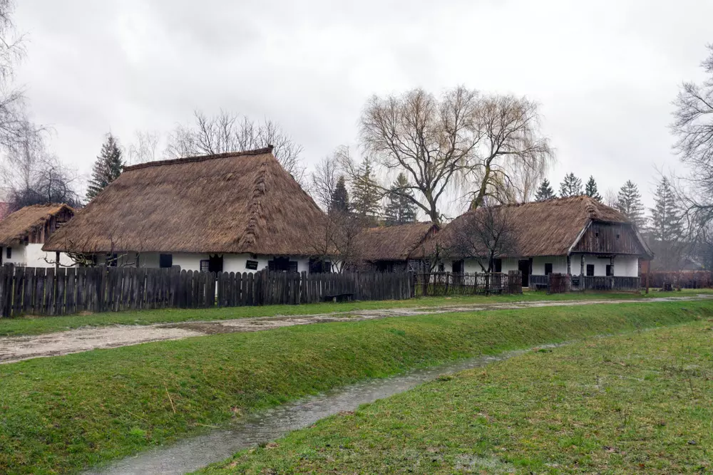 zselic szenna