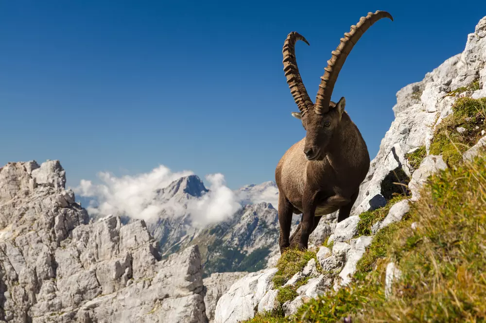 Triglav Nemzeti Park