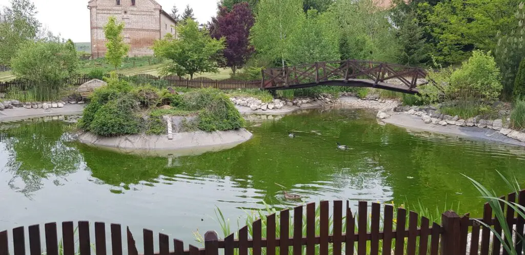 Bőszénfai szarvasfarm - az ország egyik legkülönlegesebb vadasparkja