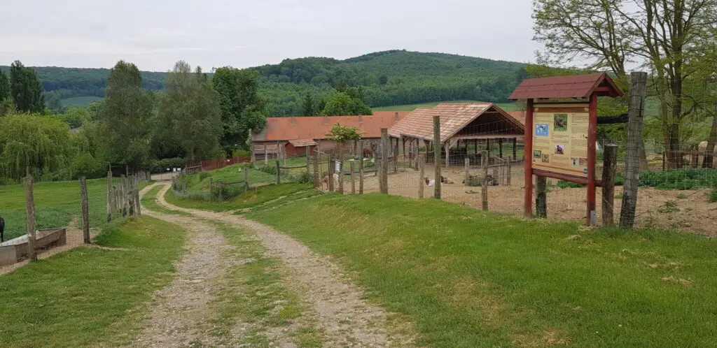 Bőszénfai szarvasfarm - az ország egyik legkülönlegesebb vadasparkja
