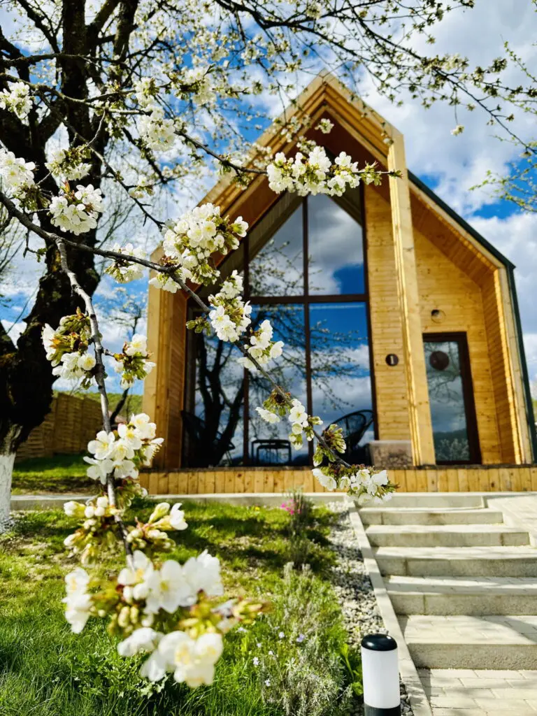 Elbűvölő lombházak – aludj a fák lombjai között!