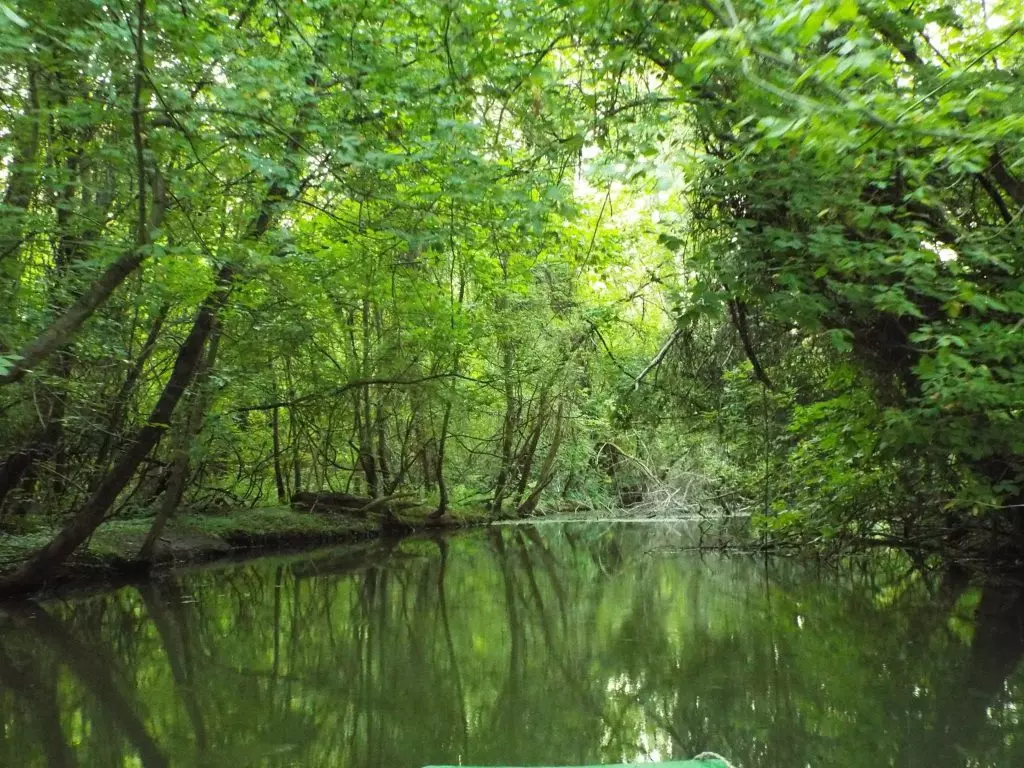 tisza-tó tanösvények túrák kalandparkok Magyarországon