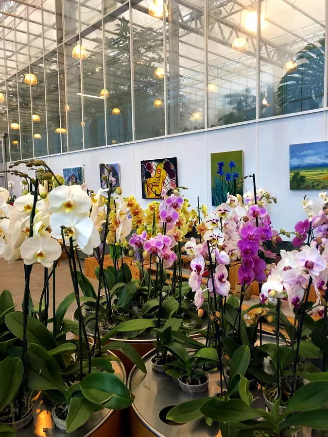 2 millió orchidea szlovénia