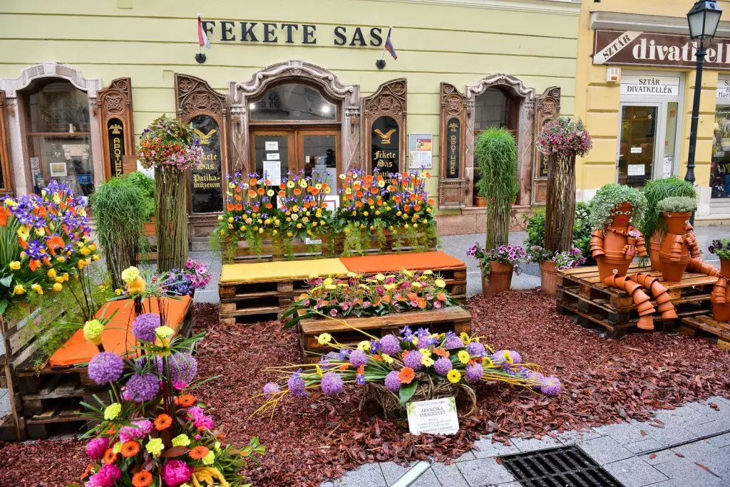 Pünkösdi programok 2020 - Székesfehérvár virágba borul 