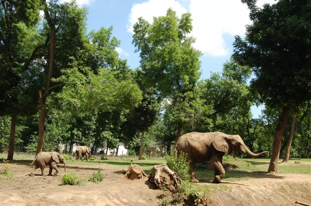 állatgondozó Nyíregyházi Állatpark