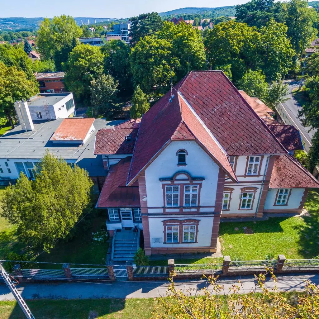 Balatoni Halak Napja