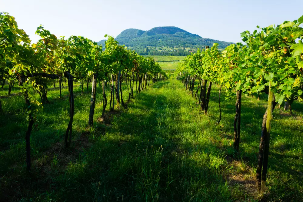 látnivaló a Balaton északi part