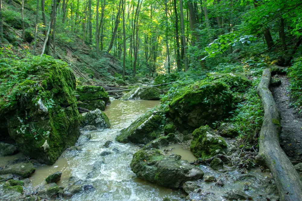 látnivaló a Balaton északi part
