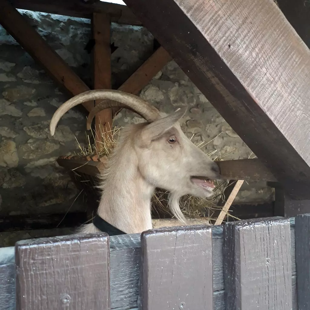 sümegi vár