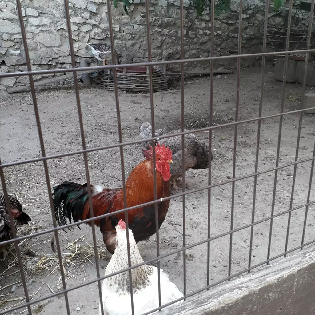 sümegi vár