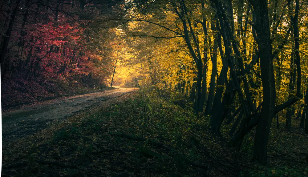 5+1 kihagyhatatlan őszi vértesi kirándulástipp