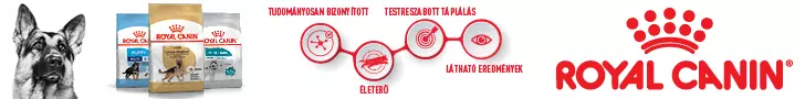Találd meg kutyád számára a megfelelő Royal Canin eledelt utazáshoz is