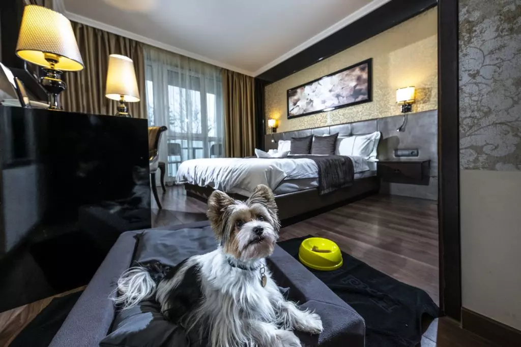 10 ok, amiért a hajdúszoboszlói Délibáb Hotelben töltsd a pihenésed
