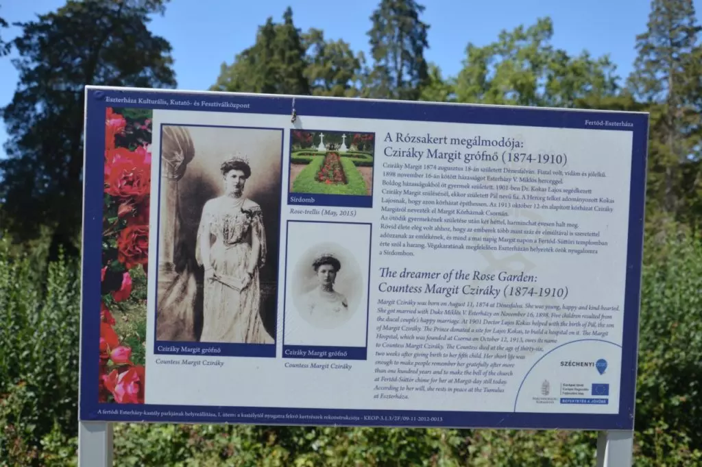 8000 tő rózsa nyílik Cziráky Margit rózsakertjében