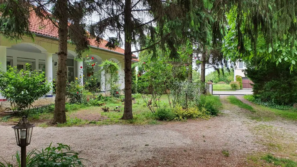 Csodás illat-, és színkavalkád! 8000 tő rózsa nyílik Cziráky Margit rózsakertjében
