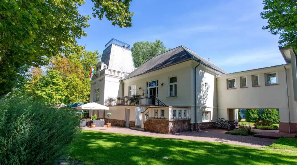 Kőröshegyi tulipánszüret helyett rendeld házhoz a virágot! 