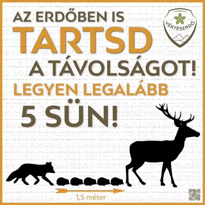 Vidám karantén mémek, amik a humor segítségével megkönnyítik, hogy átvészeljük ezt az időszakot