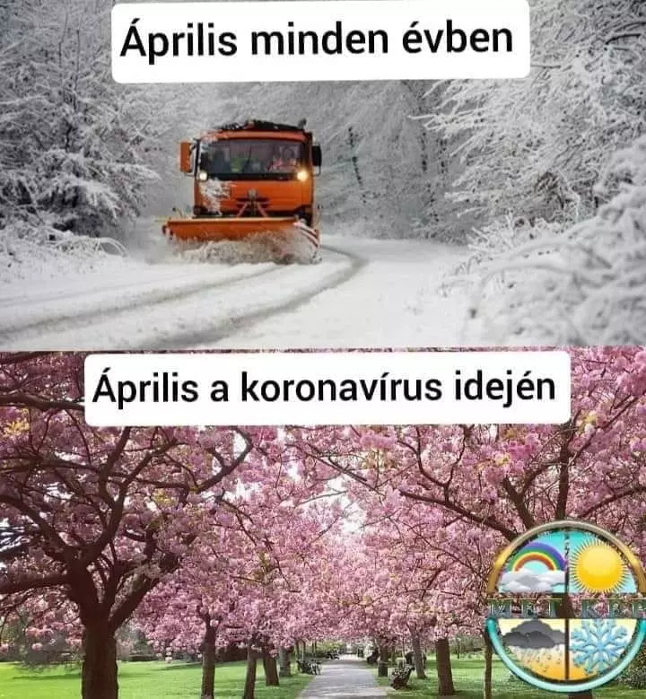 Vidám karantén mémek, amik a humor segítségével megkönnyítik, hogy átvészeljük ezt az időszakot