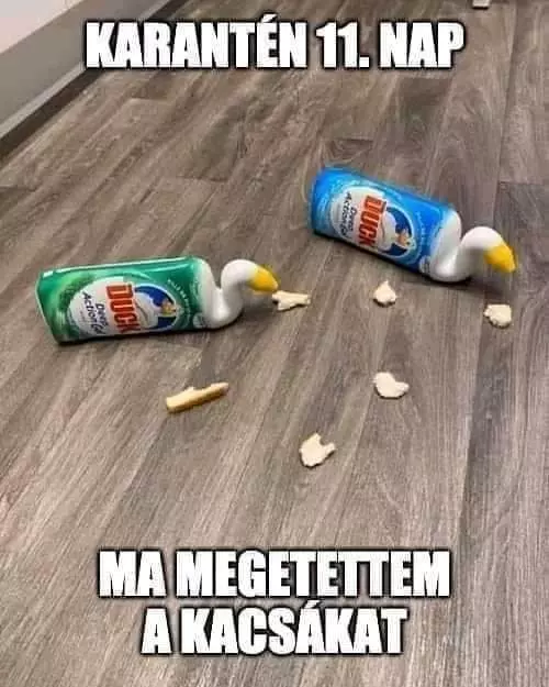 Vidám karantén mémek, amik a humor segítségével megkönnyítik, hogy átvészeljük ezt az időszakot
