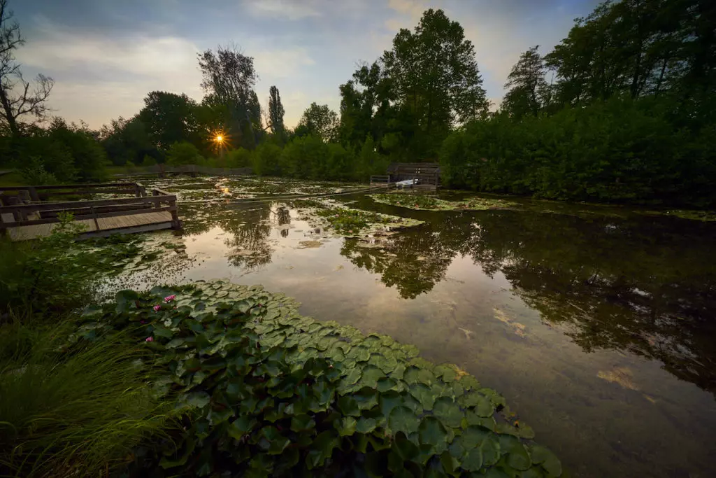 Tatai Fényes Tanösvény – különleges cölöpséta a láperdőben