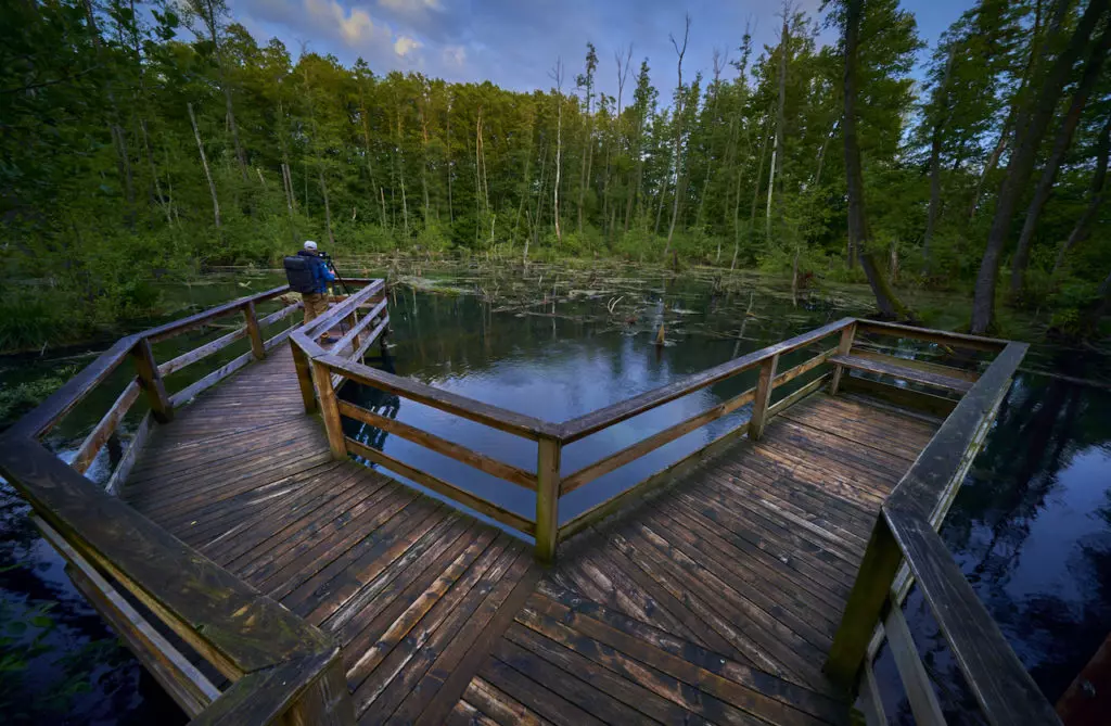 Tatai Fényes Tanösvény – különleges cölöpséta a láperdőben