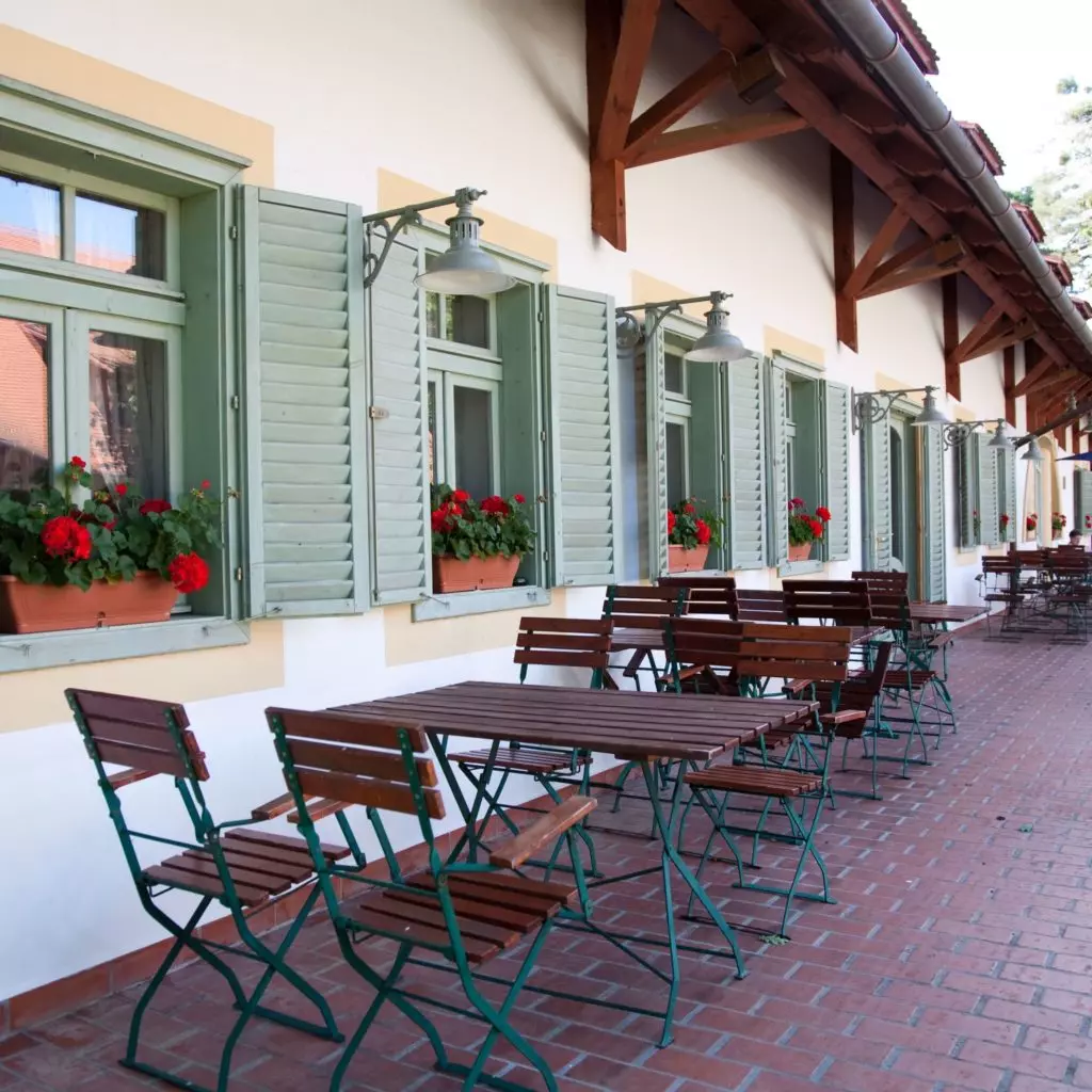 Abbázia Country Club – Fedezd fel az őrségi kutyabarát szálloda kincseit!