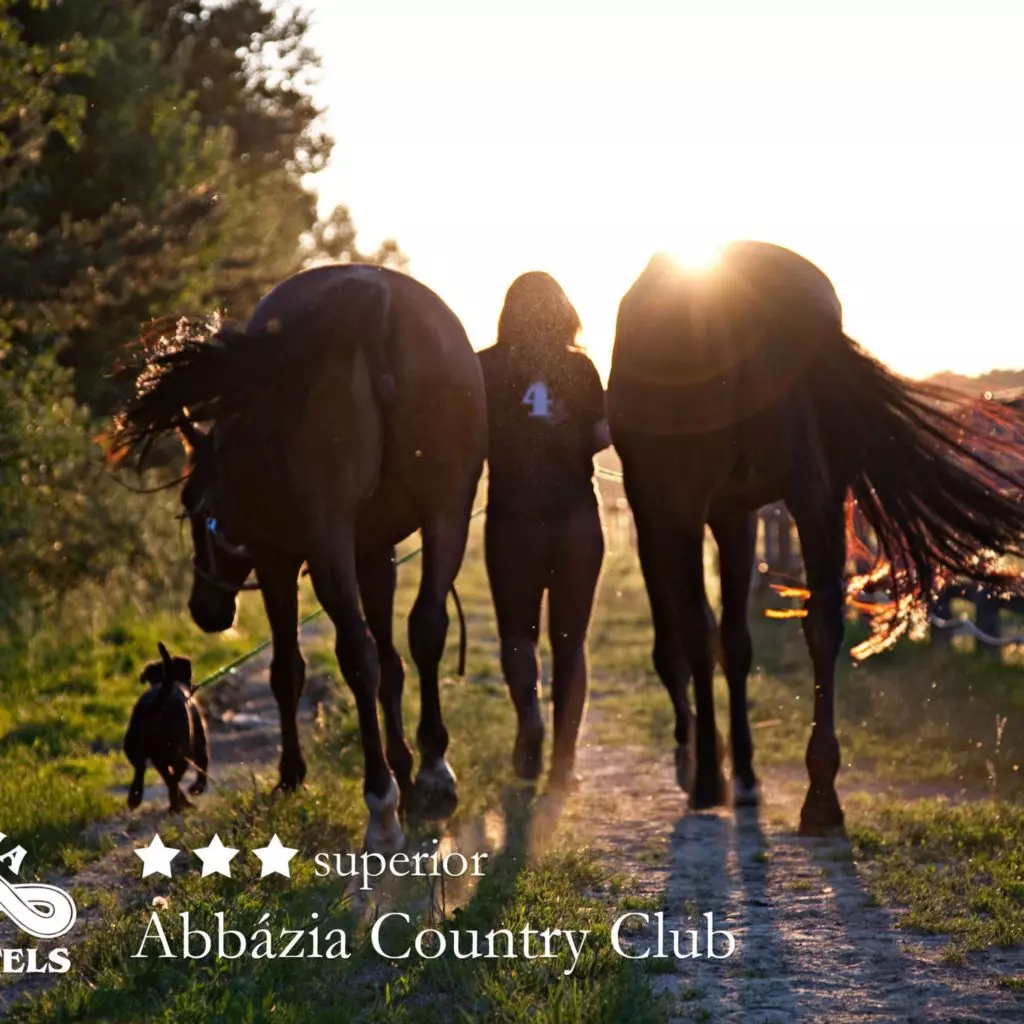 Abbázia Country Club – Fedezd fel az őrségi kutyabarát szálloda kincseit!
