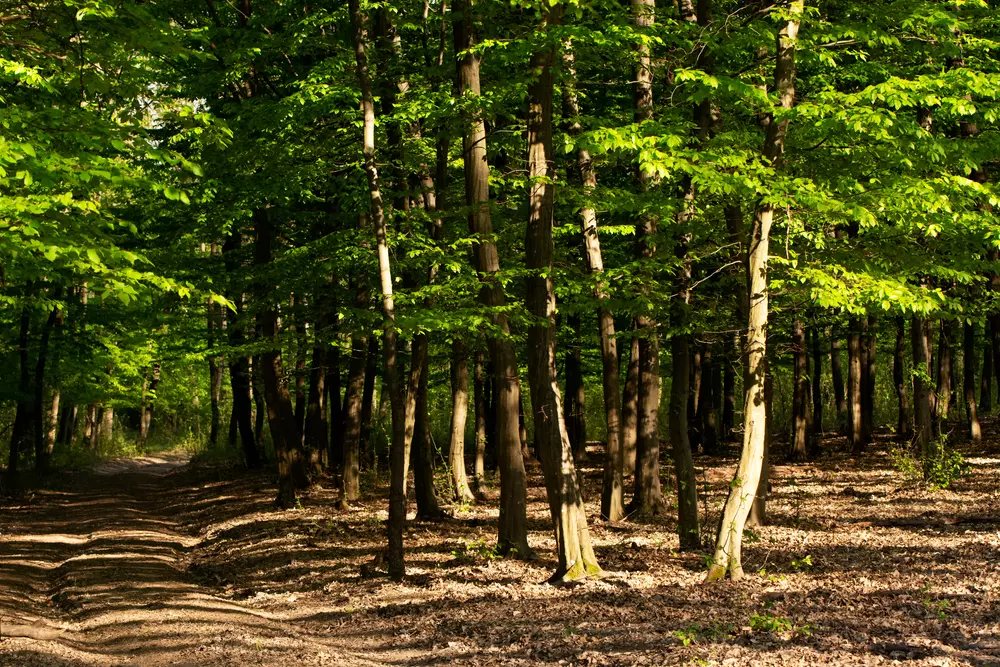 Spalettás Porta Őrtilos, ahol tilos stresszelni - ide utazz, ha lelassulnál a rohanó világban