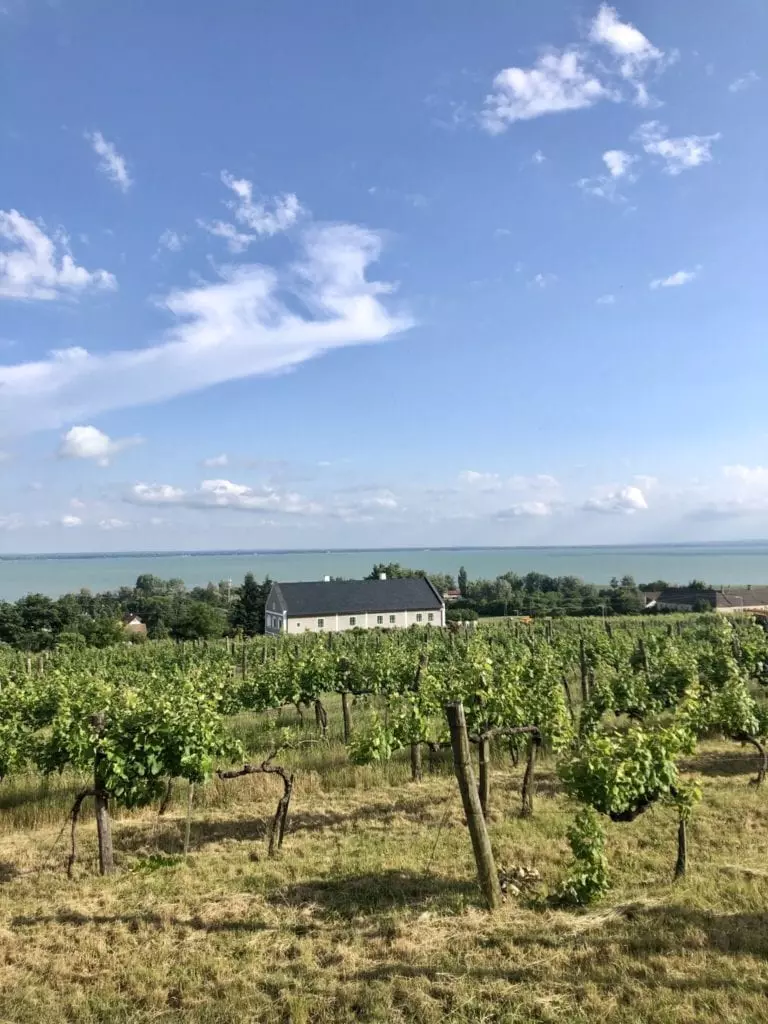 13 fantasztikus hely, ahol levesz a lábadról a balatoni panoráma