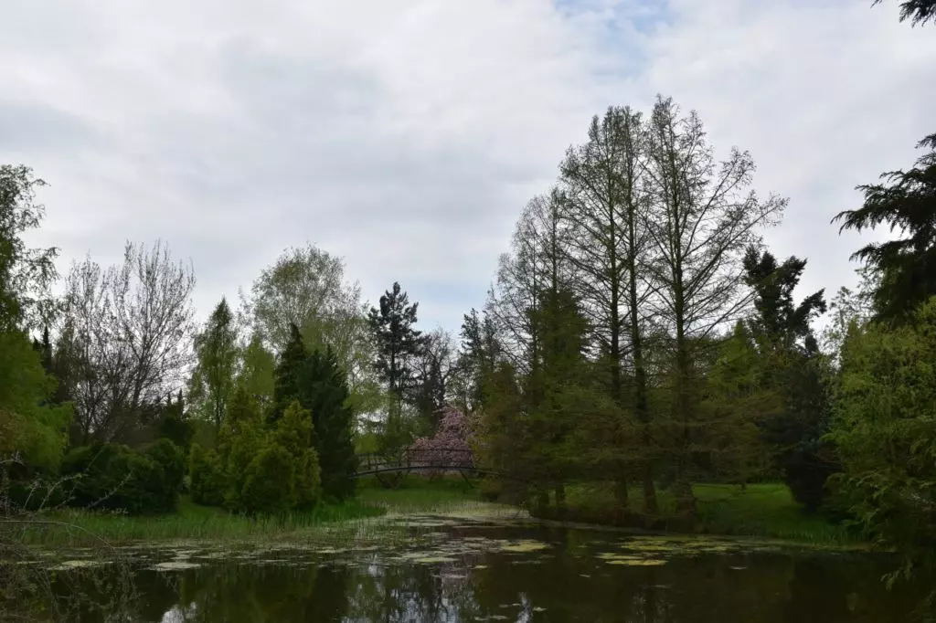 Nagy hazai botanikus kert és arborétum gyűjtemény - TÉRKÉPPEL
