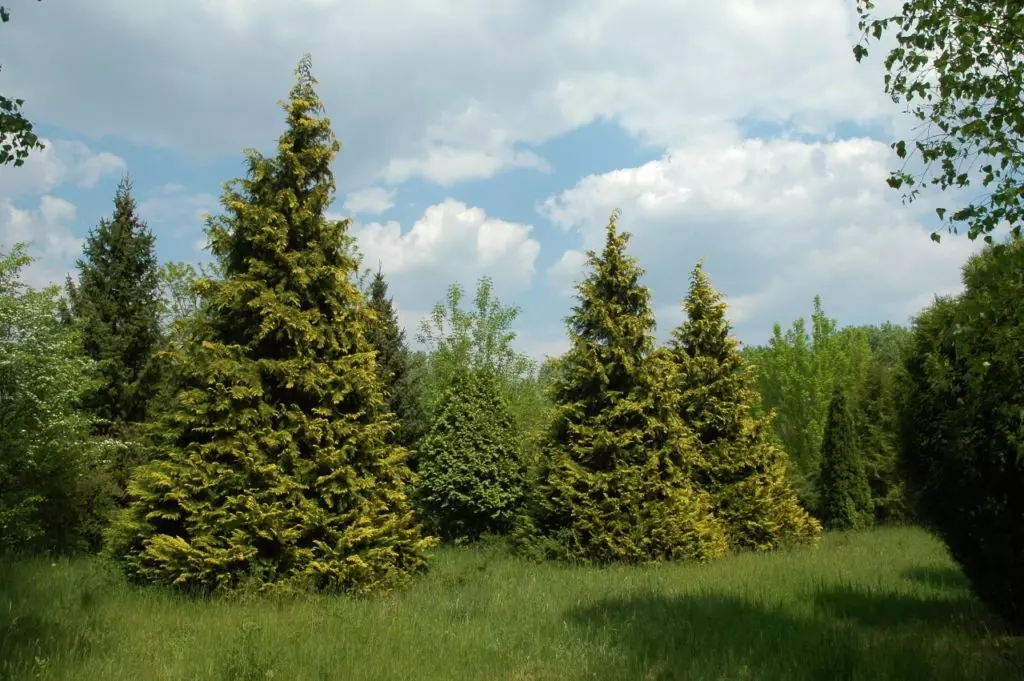 Nagy hazai botanikus kert és arborétum gyűjtemény - TÉRKÉPPEL