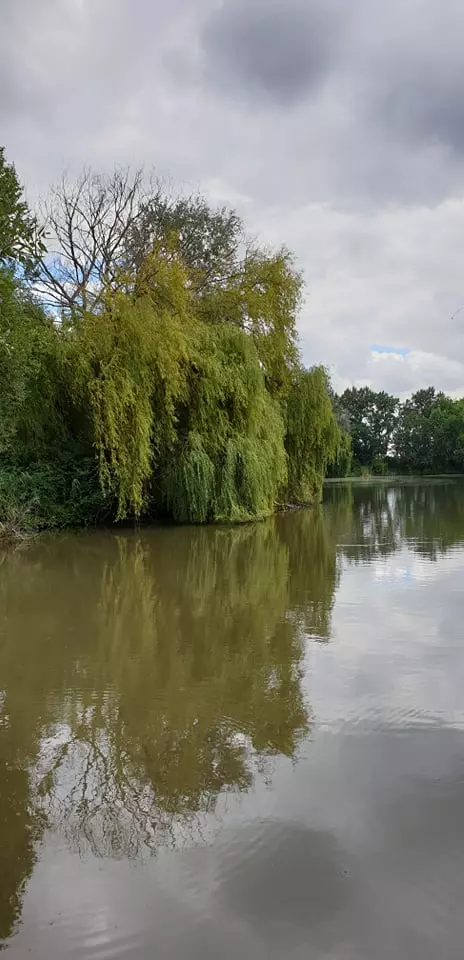 Töltődj fel az idilli Rétszilasi-tavaknál és kirándulj egyet a Nyalóka-szigeten!