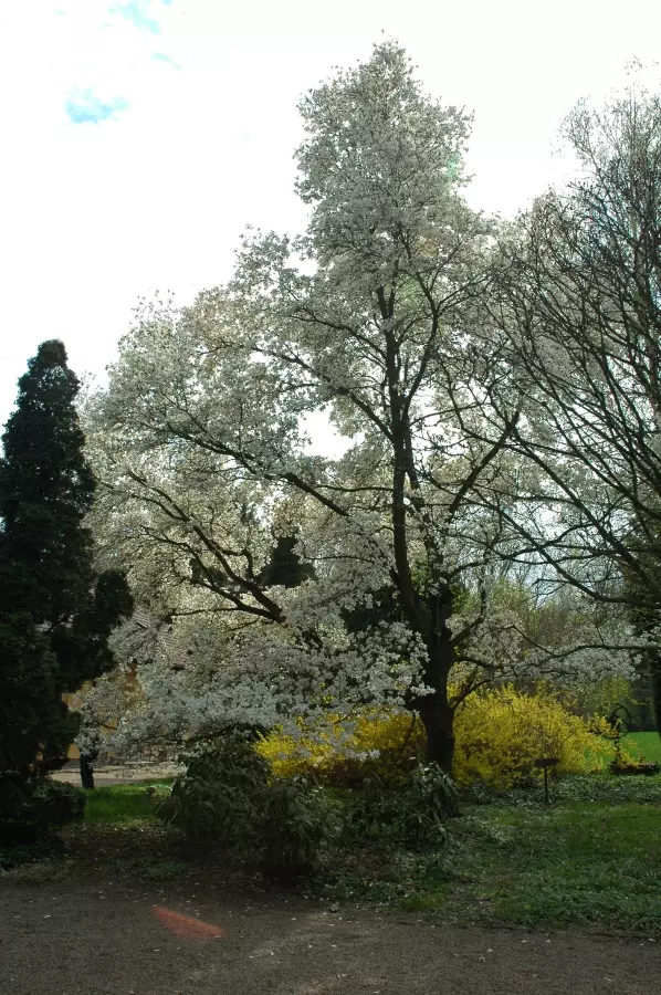 Nagy hazai botanikus kert és arborétum gyűjtemény - TÉRKÉPPEL