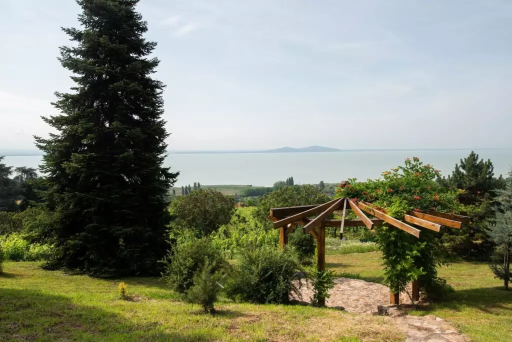 Százéves cédrusok Badacsonyban – Séta a Folly Arborétum és Borászatban