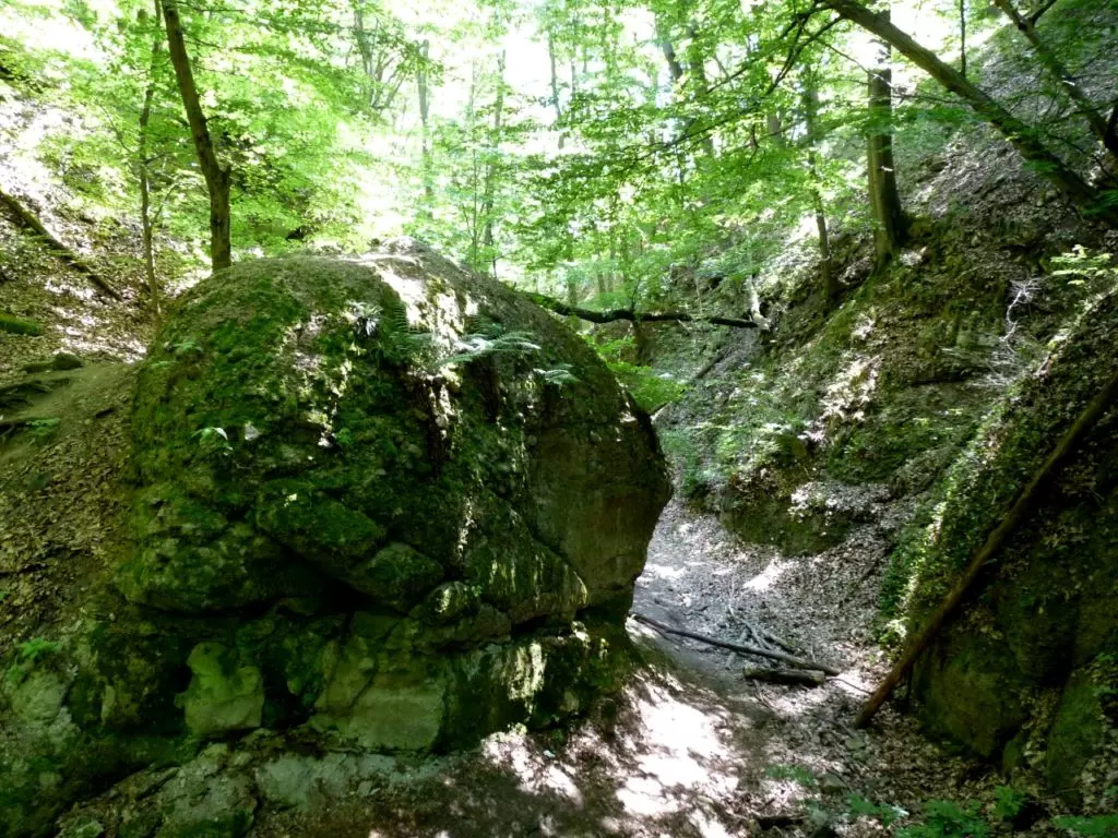 Körtúra a vadregényes Holdvilág-árokban