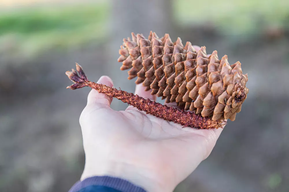 Vidd haza a természetet! - Téli kirándulások extrákkal