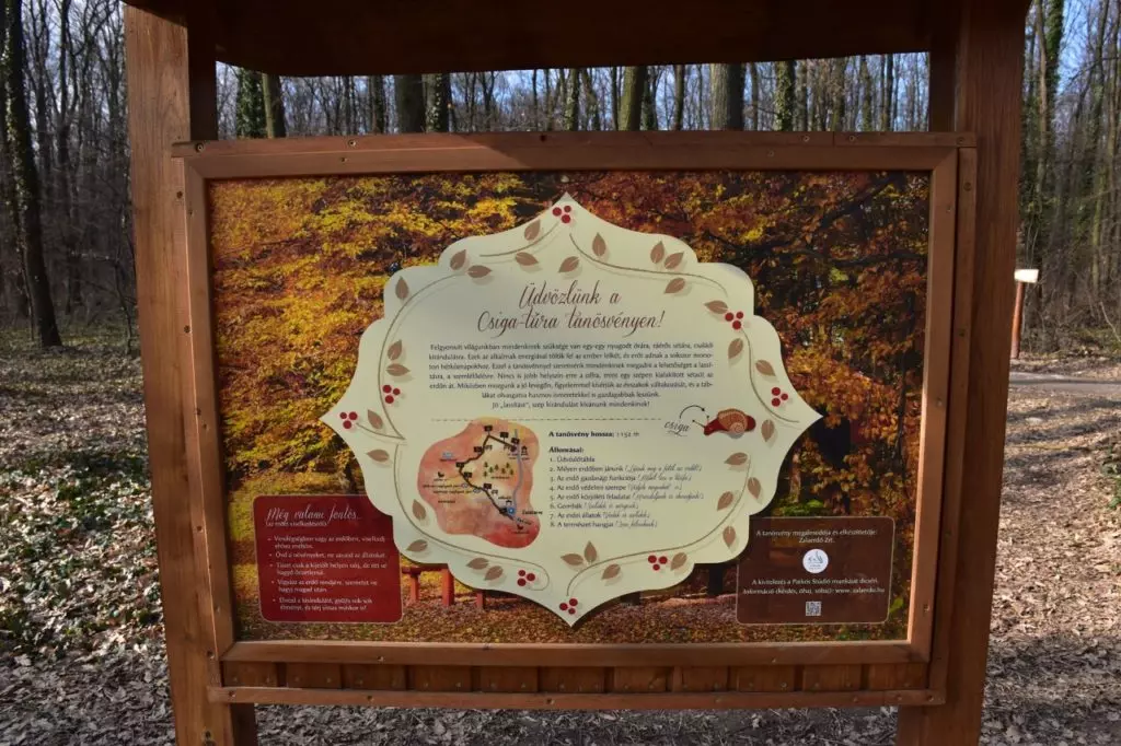 tanösvények gyerekeknek