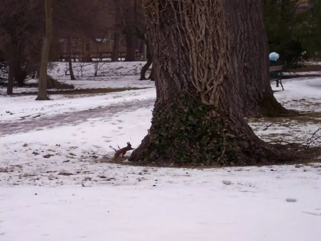 14 ámulatba ejtő park Magyarországon, ahol télen is jó sétálni egyet