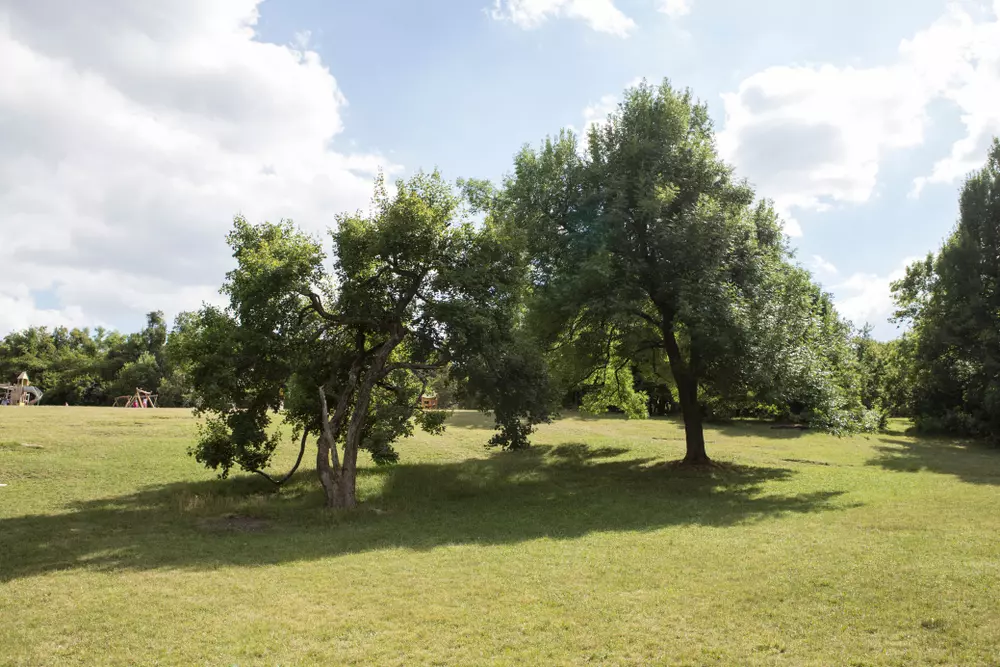 Hangulatos szabadtéri tűzrakó- és bográcsozó helyek