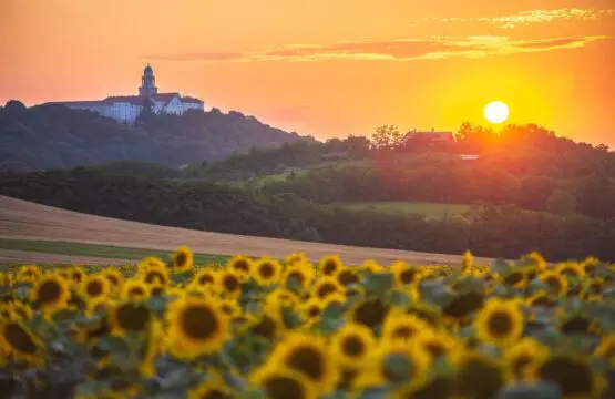 pannonhalma legszebb látnivalói